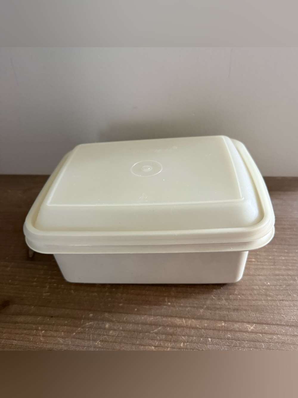 Vintage Tupperware Ice Cream Saver